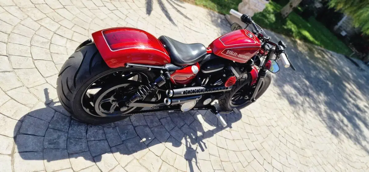 Harley-Davidson 883 Iron (2009 - 11) - XL 883N (5)
