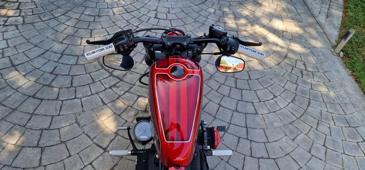 Harley-Davidson 883 Iron (2009 - 11) - XL 883N (8)