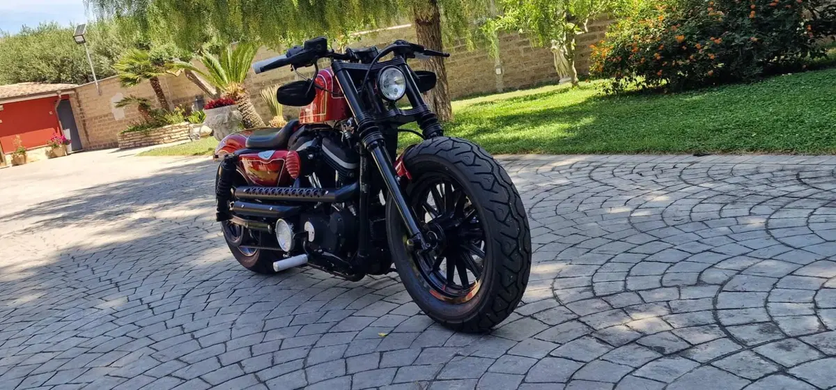 Harley-Davidson 883 Iron (2009 - 11) - XL 883N (10)
