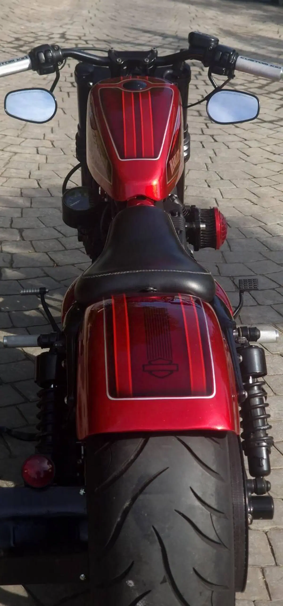 Harley-Davidson 883 Iron (2009 - 11) - XL 883N (12)