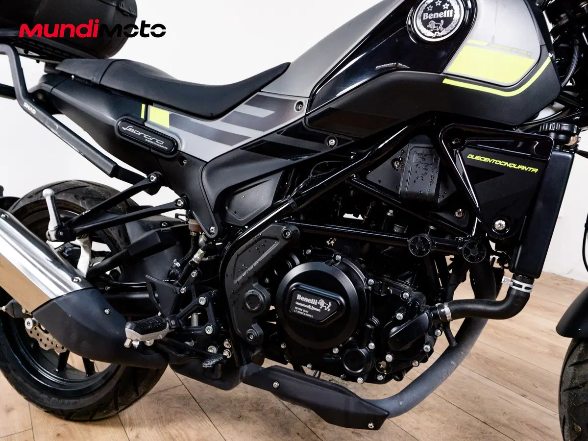 Benelli Leoncino 250 (2019 - 20) (5)