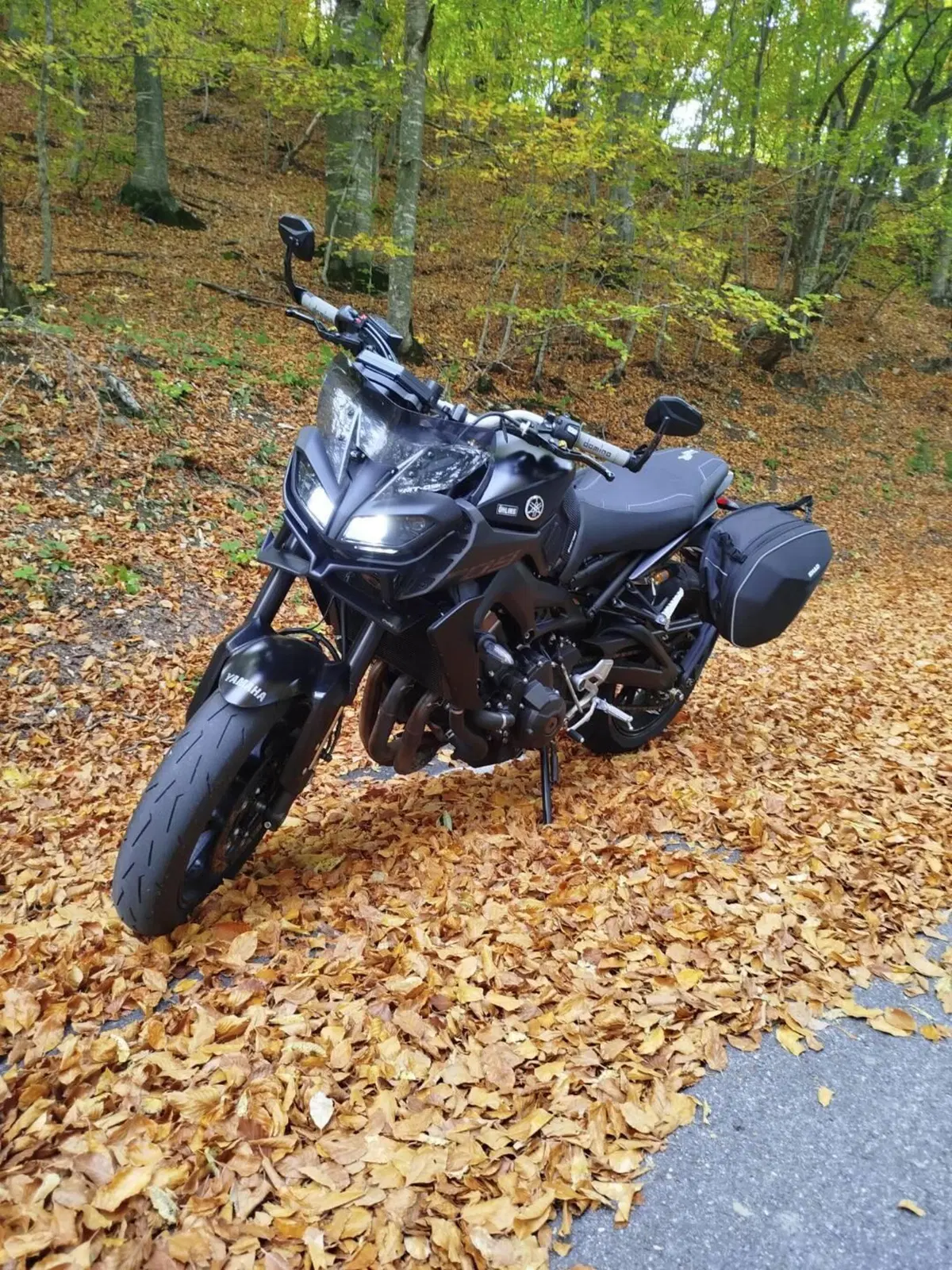 Yamaha MT-09 (2017 - 20) (3)