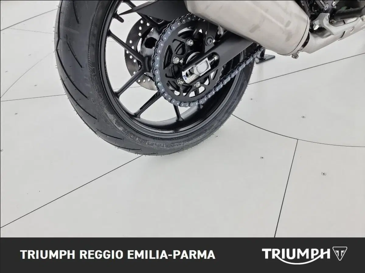 Triumph Speed 400 (2024 - 26) (17)