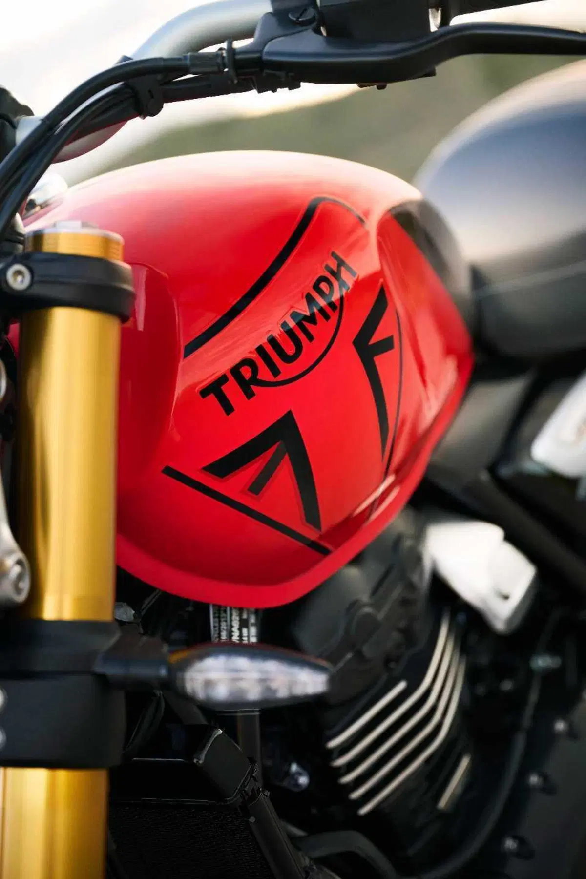 Triumph presenta le nuove colorazioni per la gamma 2027 (24)