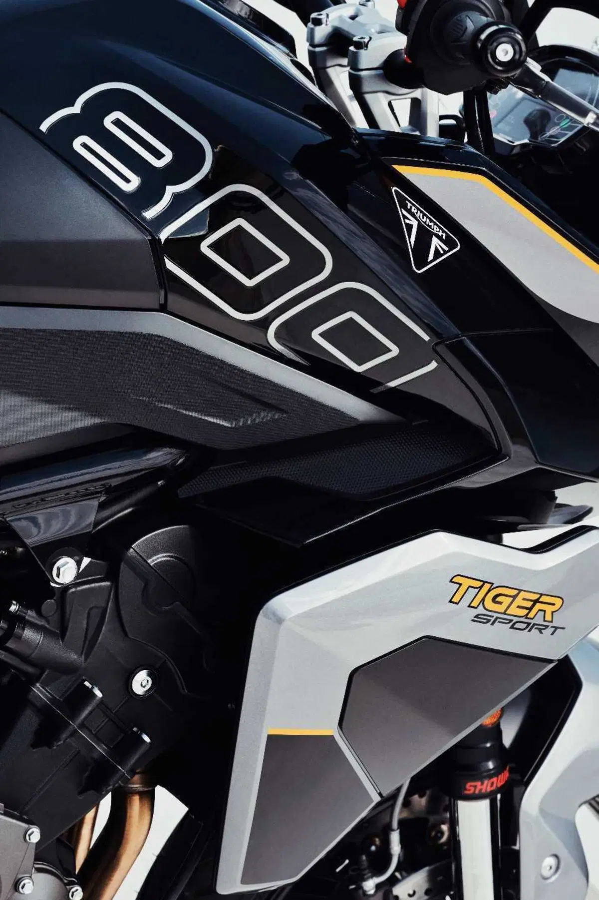 Triumph presenta le nuove colorazioni per la gamma 2027 (39)