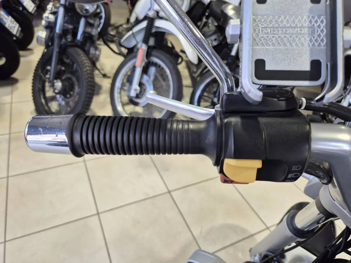 Bmw R 850 R (1994 - 02) (9)
