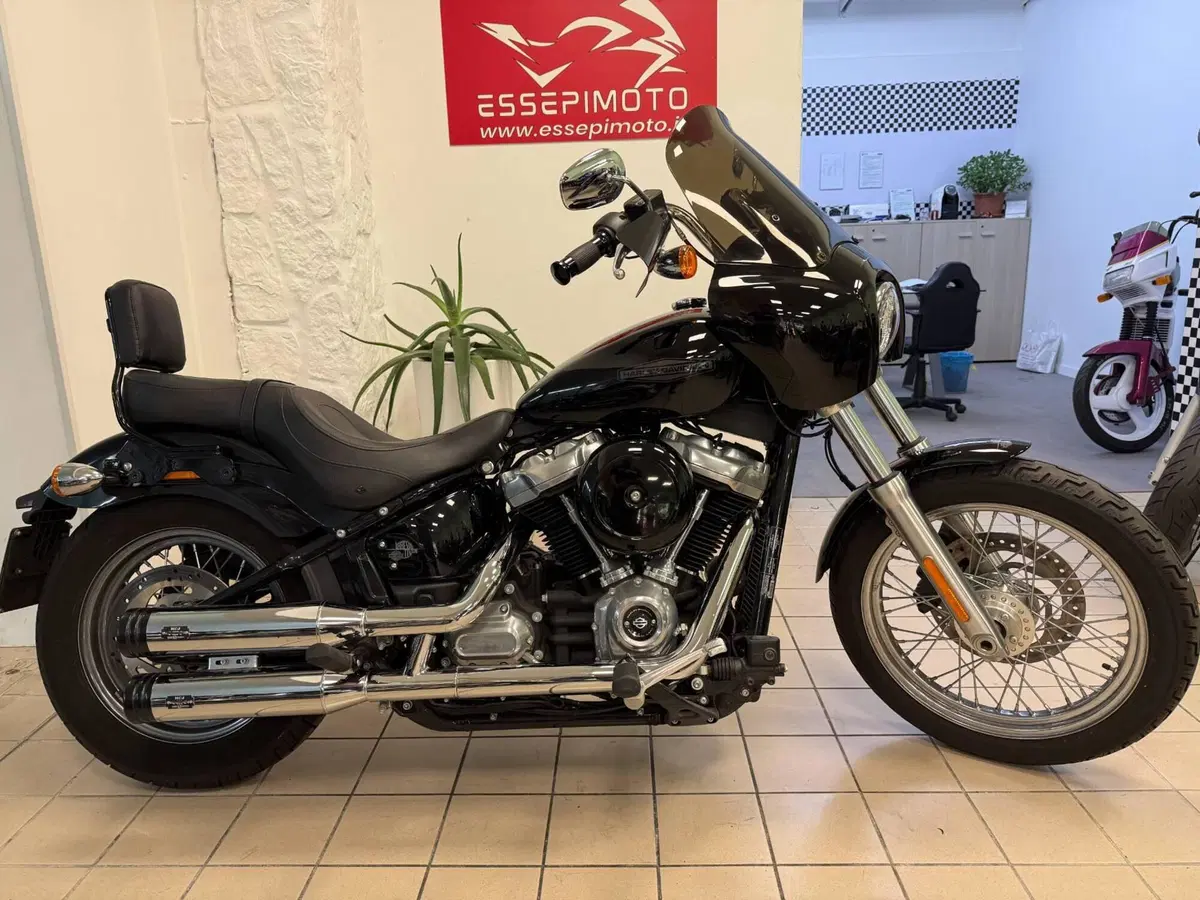 Harley-Davidson Softail Standard (2021 - 25)