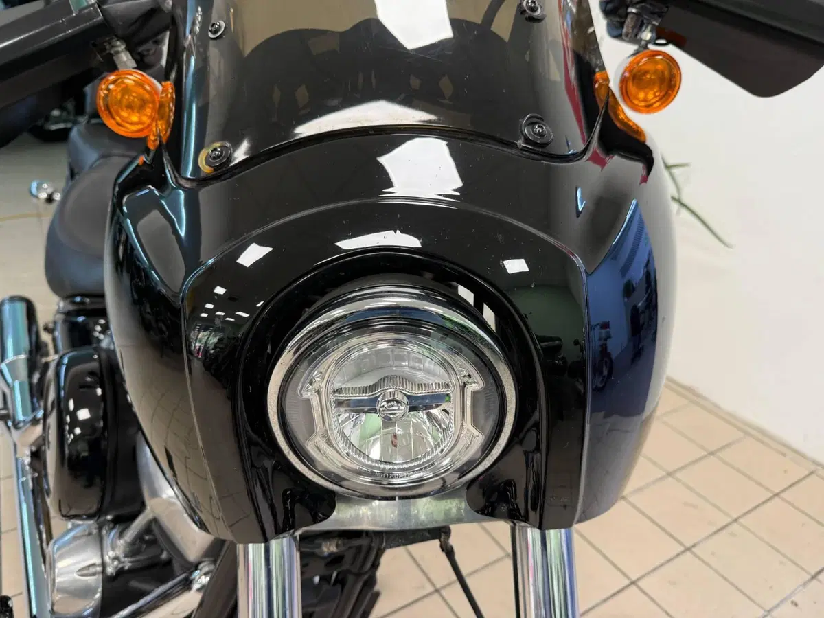 Harley-Davidson Softail Standard (2021 - 25) (5)