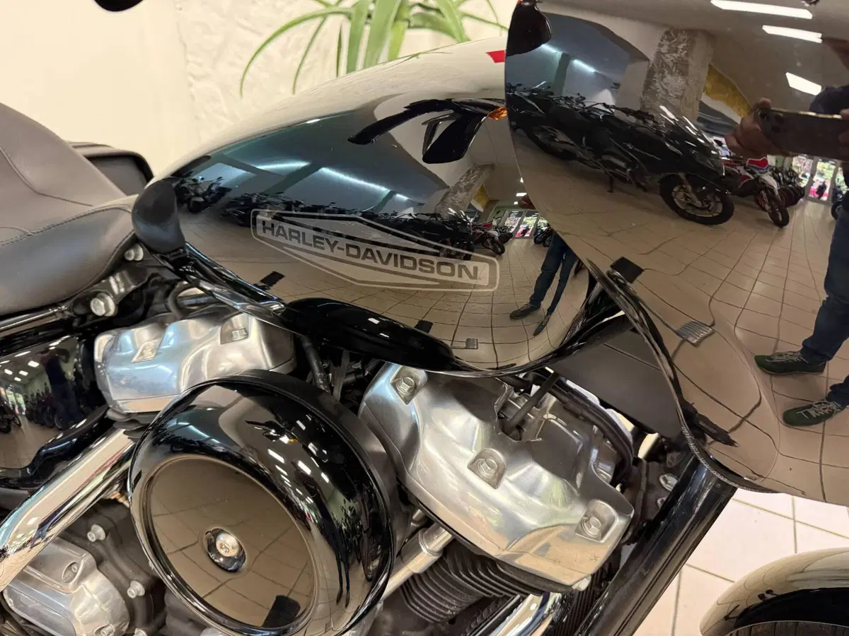 Harley-Davidson Softail Standard (2021 - 25) (7)