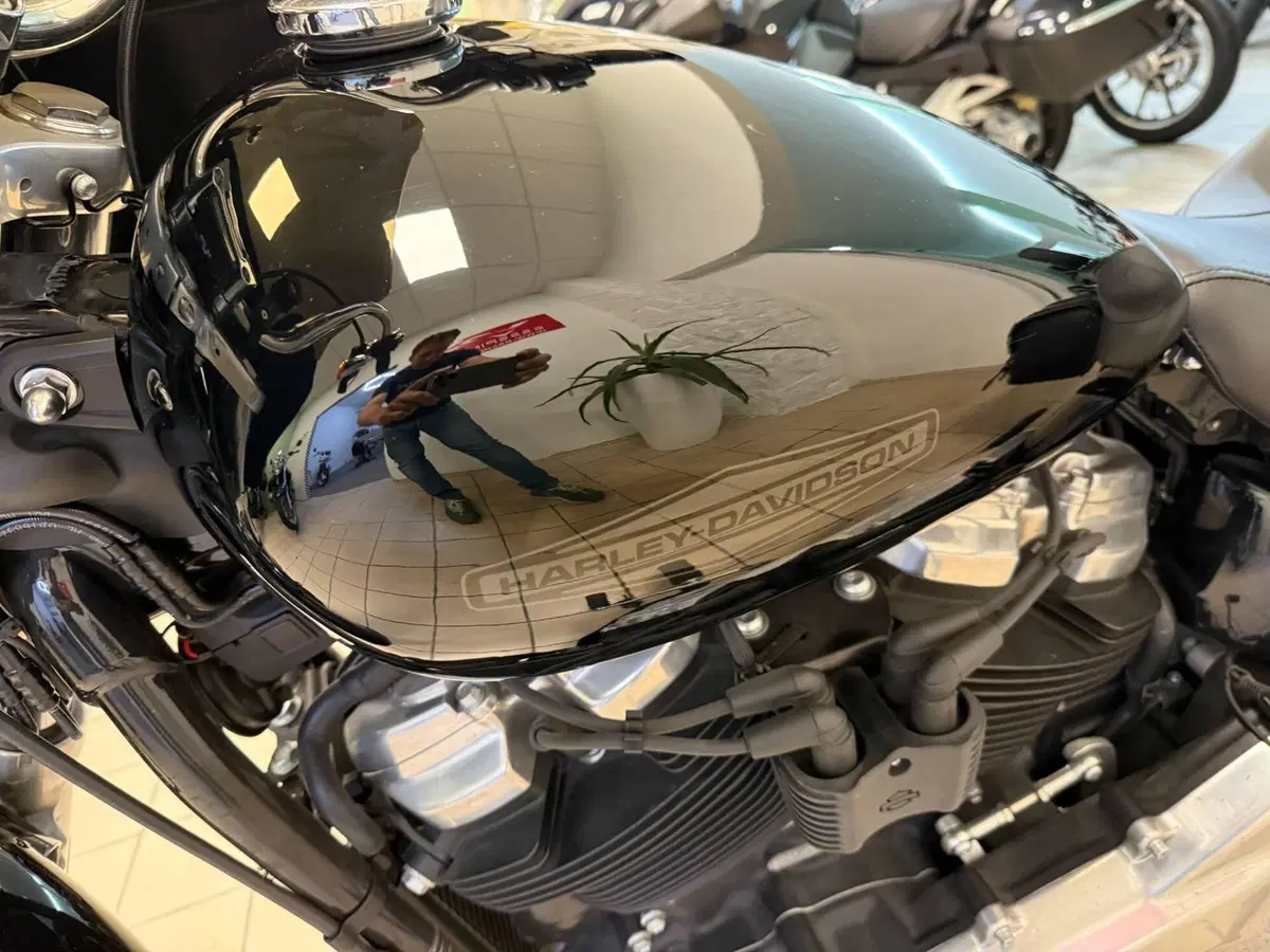 Harley-Davidson Softail Standard (2021 - 25) (8)