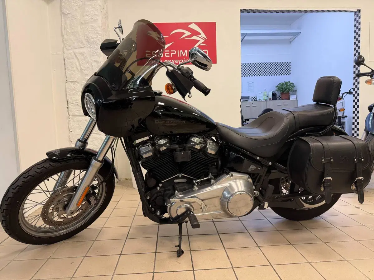 Harley-Davidson Softail Standard (2021 - 25) (2)