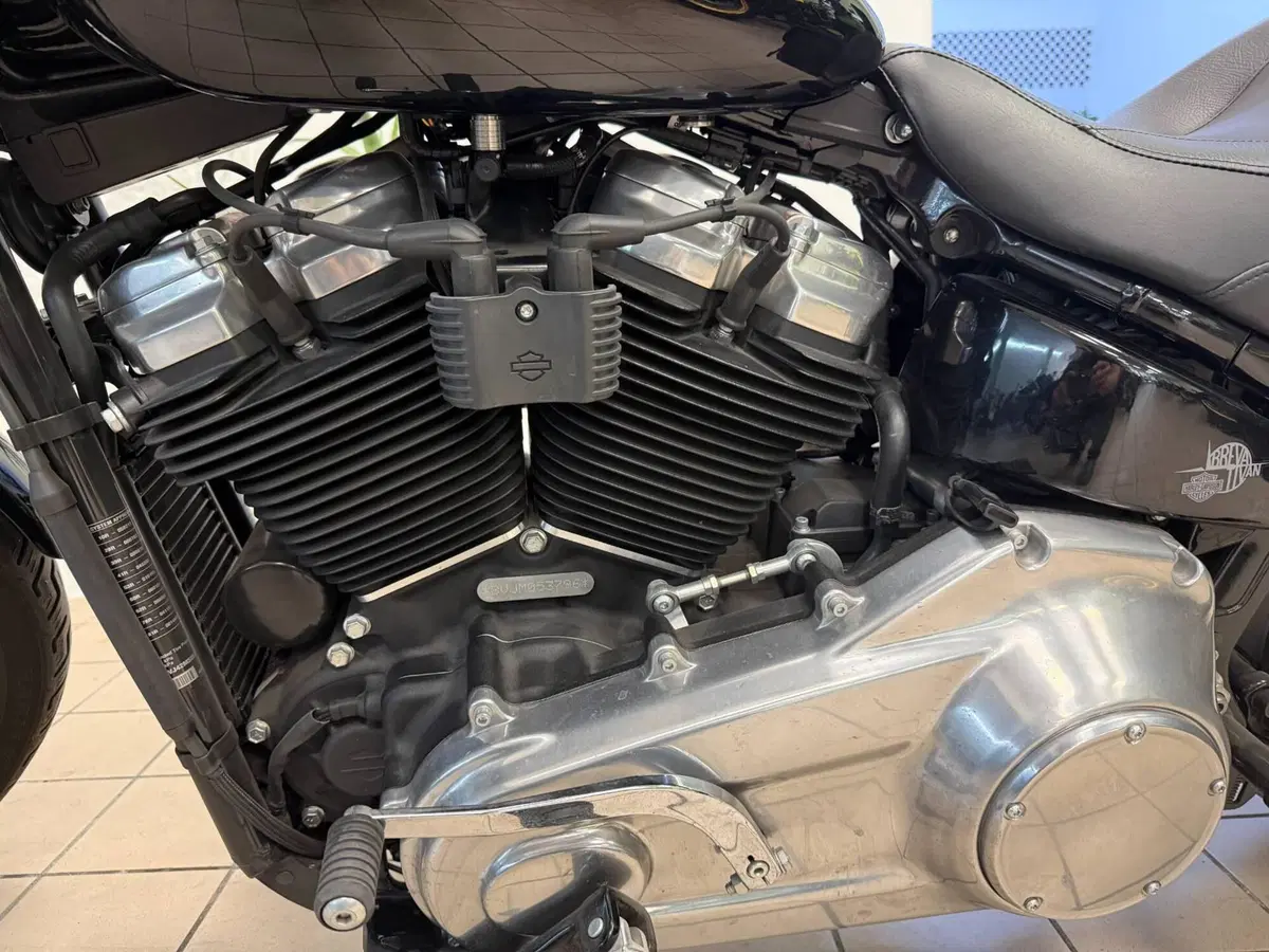 Harley-Davidson Softail Standard (2021 - 25) (9)