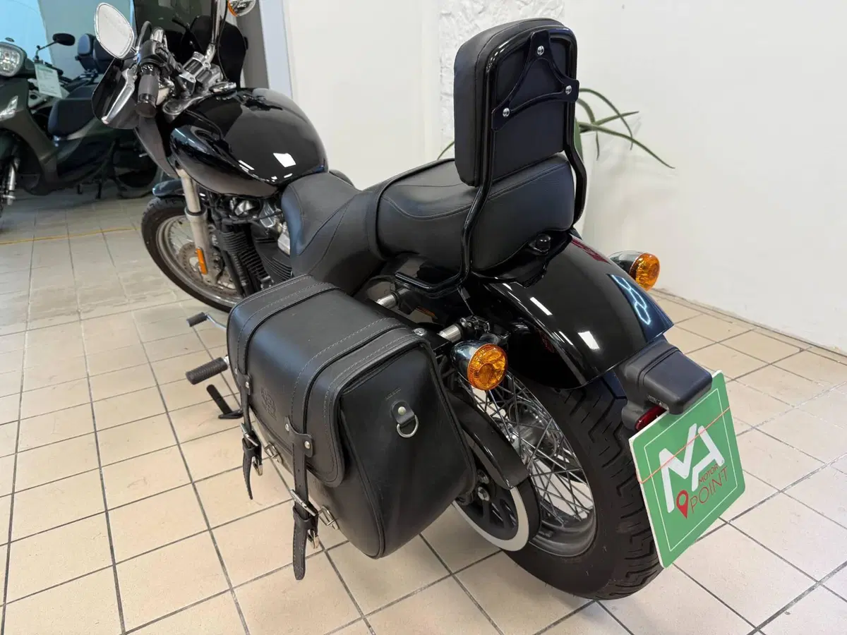 Harley-Davidson Softail Standard (2021 - 25) (4)