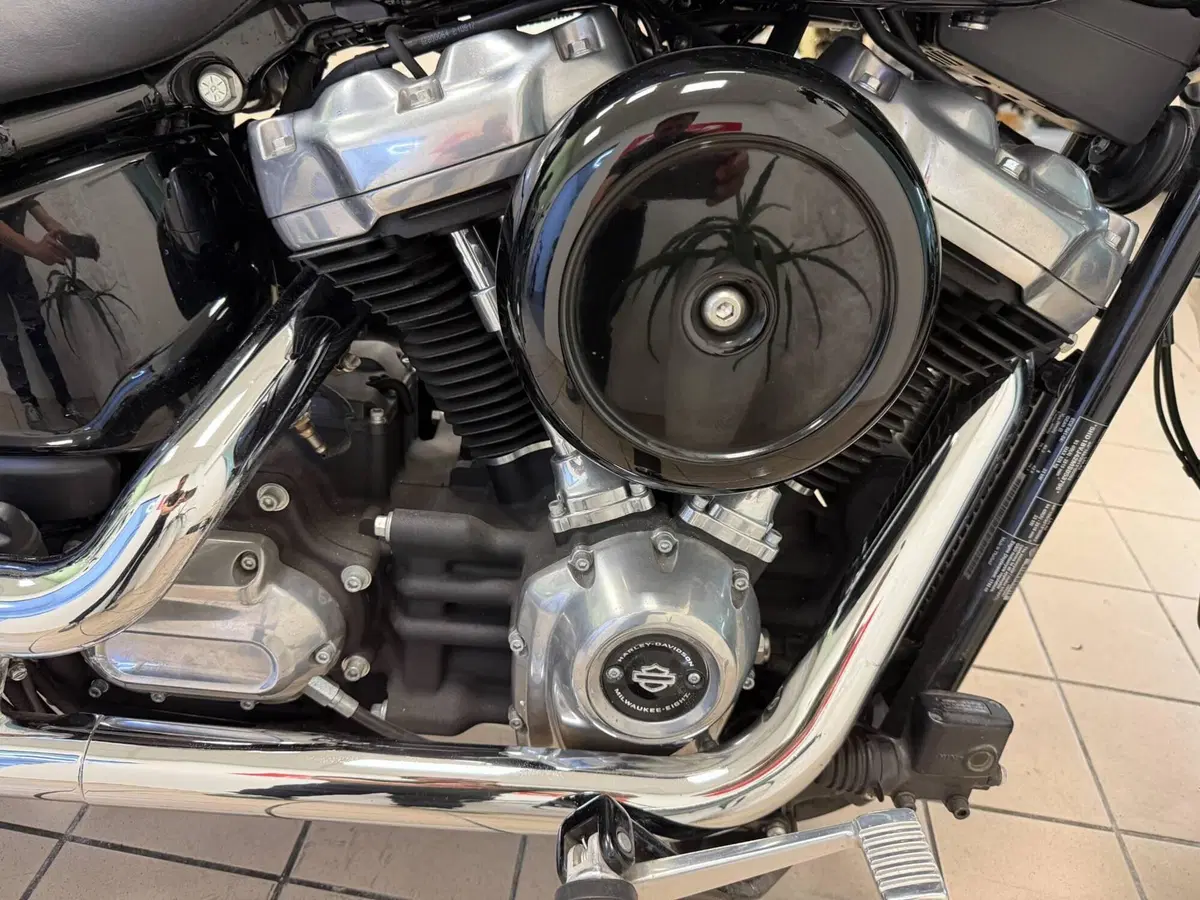 Harley-Davidson Softail Standard (2021 - 25) (10)