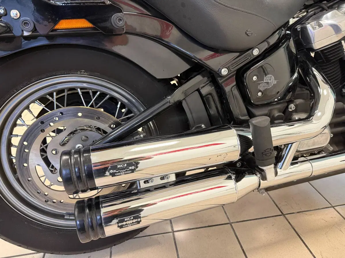 Harley-Davidson Softail Standard (2021 - 25) (11)