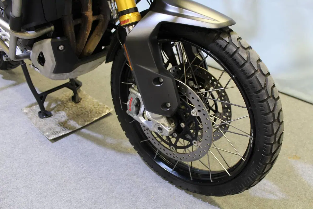 Triumph Tiger 1200 Rally Explorer (2022 - 23) (7)