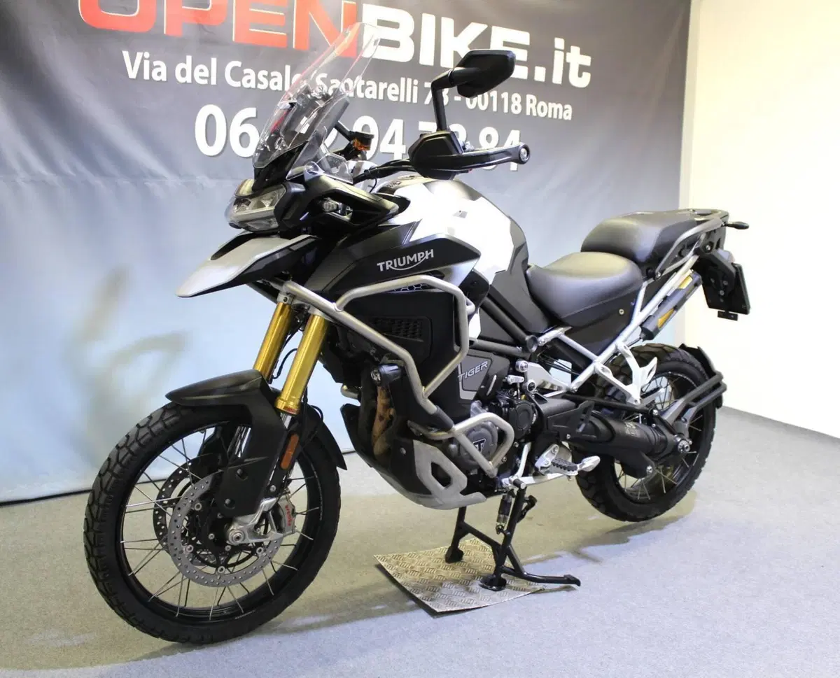 Triumph Tiger 1200 Rally Explorer (2022 - 23) (13)