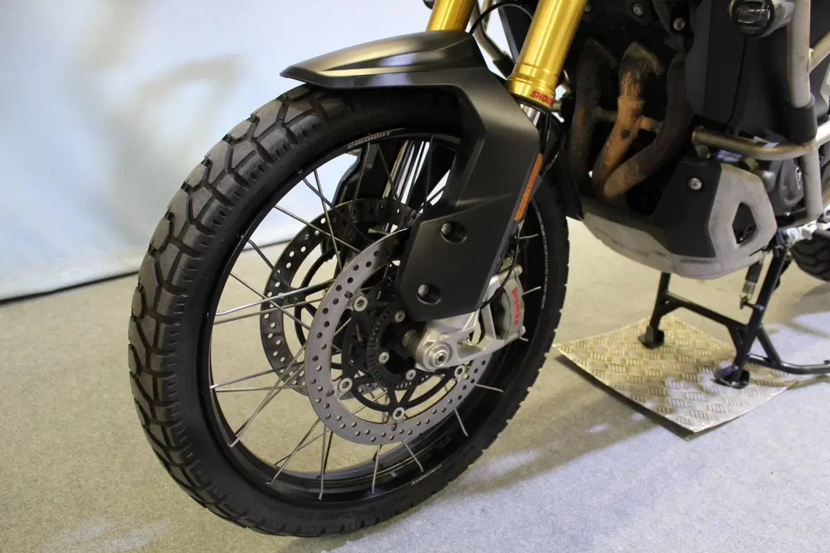 Triumph Tiger 1200 Rally Explorer (2022 - 23) (15)