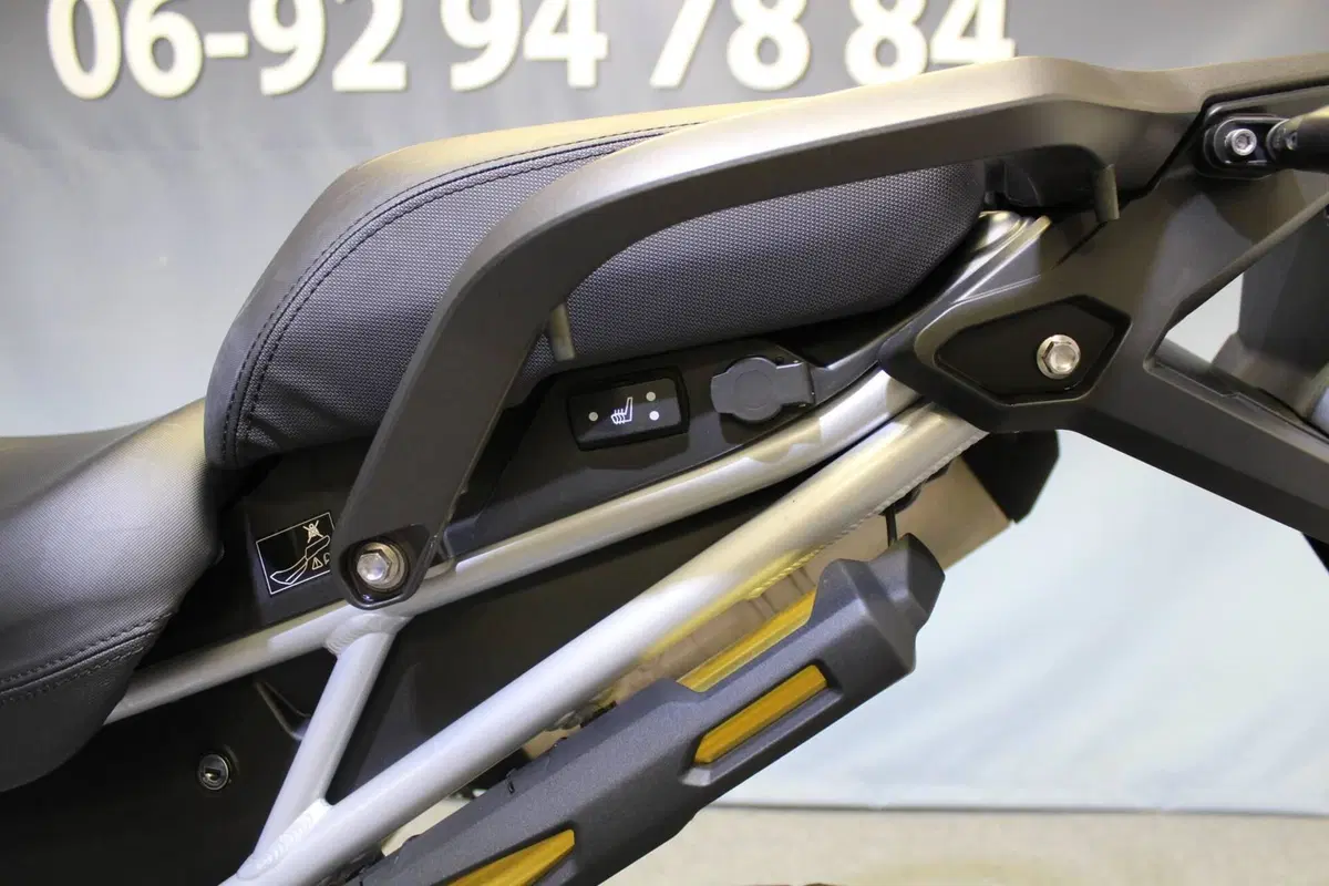 Triumph Tiger 1200 Rally Explorer (2022 - 23) (18)