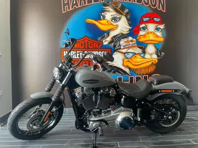 Harley-Davidson Street Bob 117 (2025 - 26) nuova