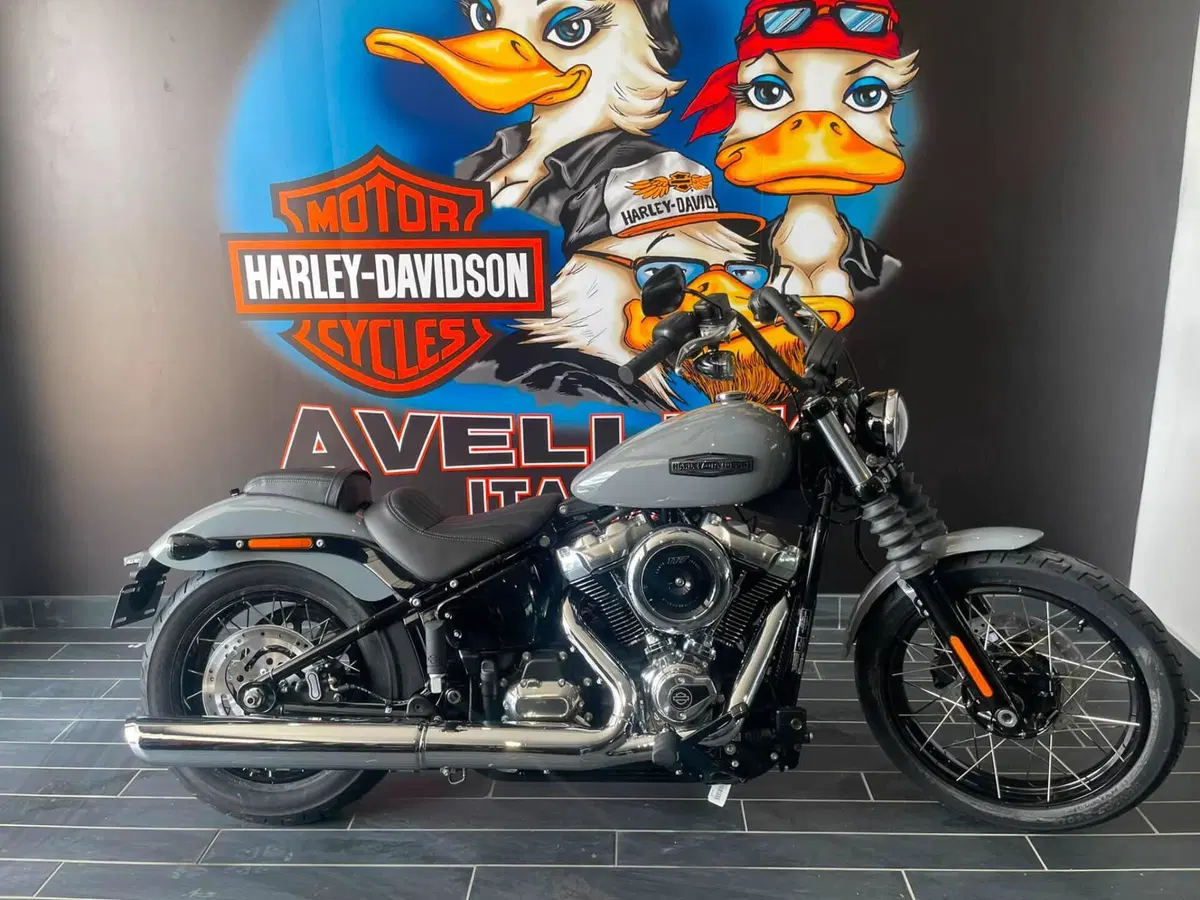 Harley-Davidson Street Bob 117 (2025 - 26) (2)