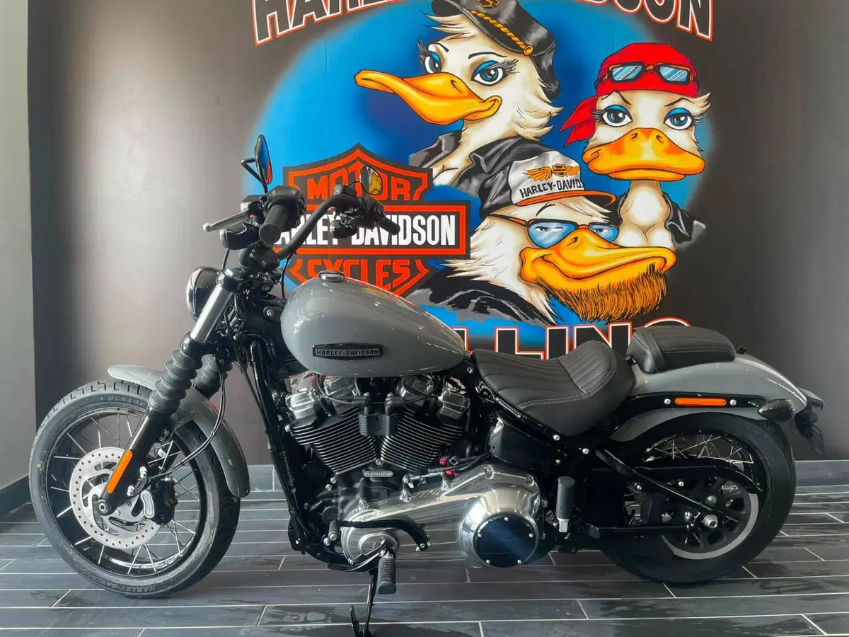 Harley-Davidson Street Bob 117 (2025 - 26) (3)