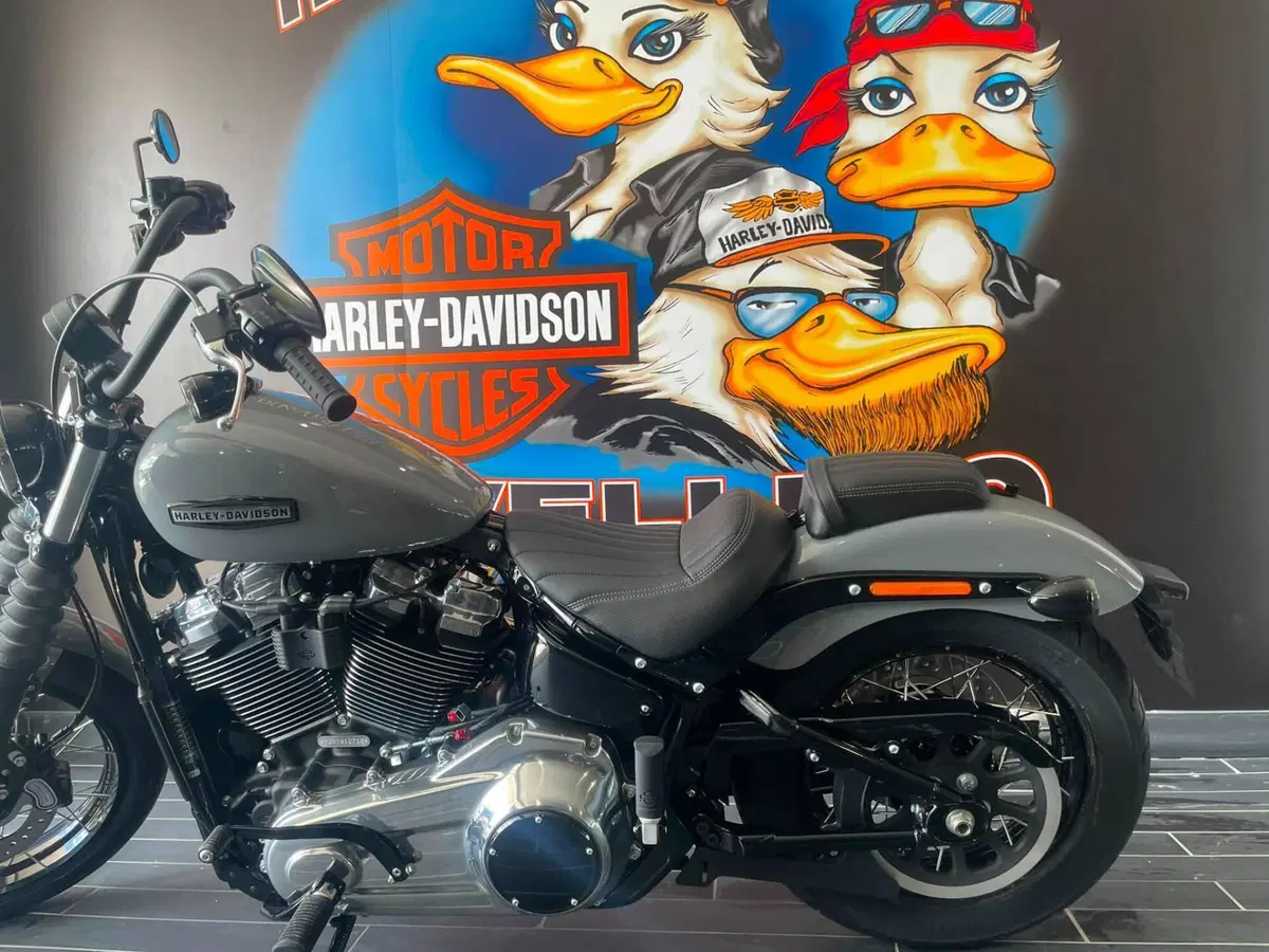 Harley-Davidson Street Bob 117 (2025 - 26) (4)