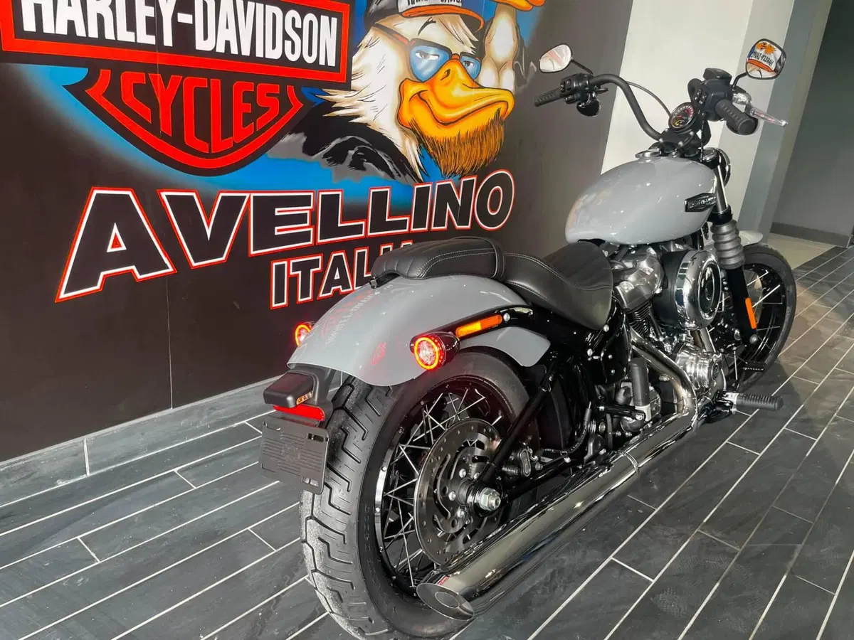 Harley-Davidson Street Bob 117 (2025 - 26) (6)