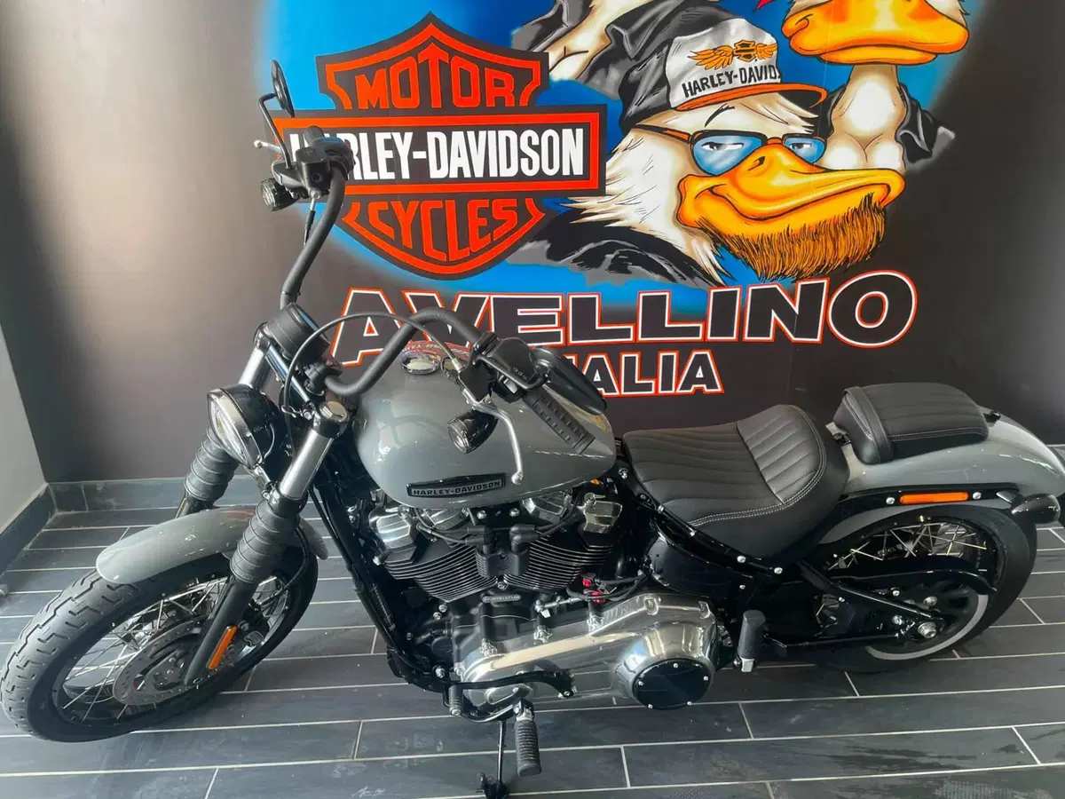 Harley-Davidson Street Bob 117 (2025 - 26) (7)
