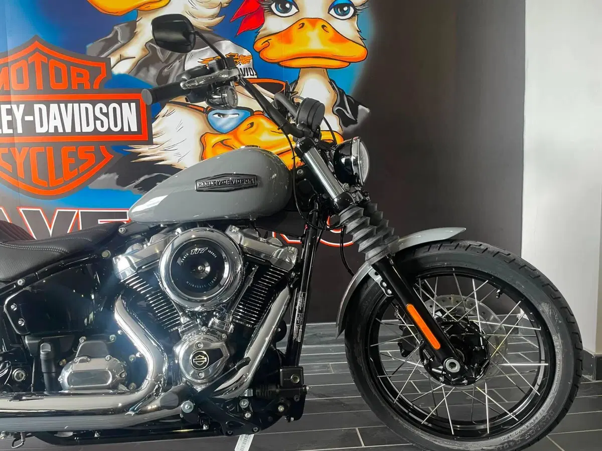 Harley-Davidson Street Bob 117 (2025 - 26) (8)