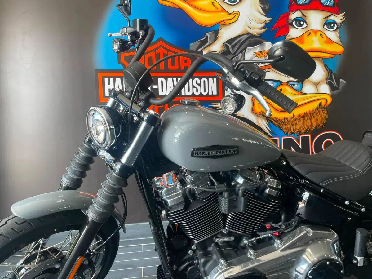 Harley-Davidson Street Bob 117 (2025 - 26) (9)