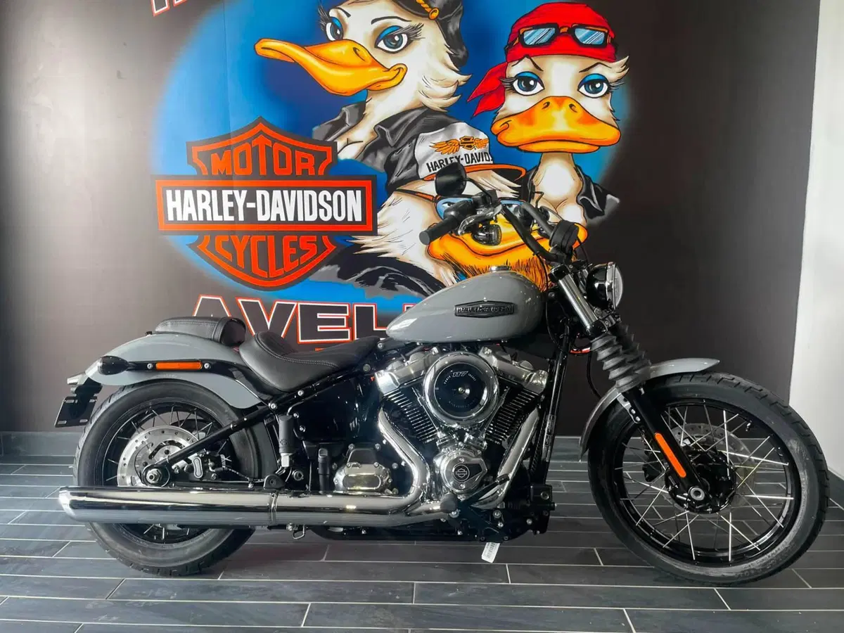 Harley-Davidson Street Bob 117 (2025 - 26) (10)