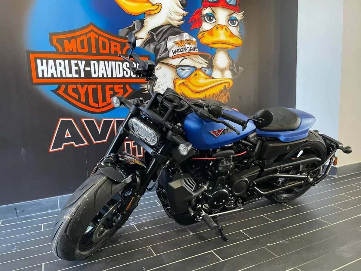 Harley-Davidson Sportster S (2025 - 26) (3)