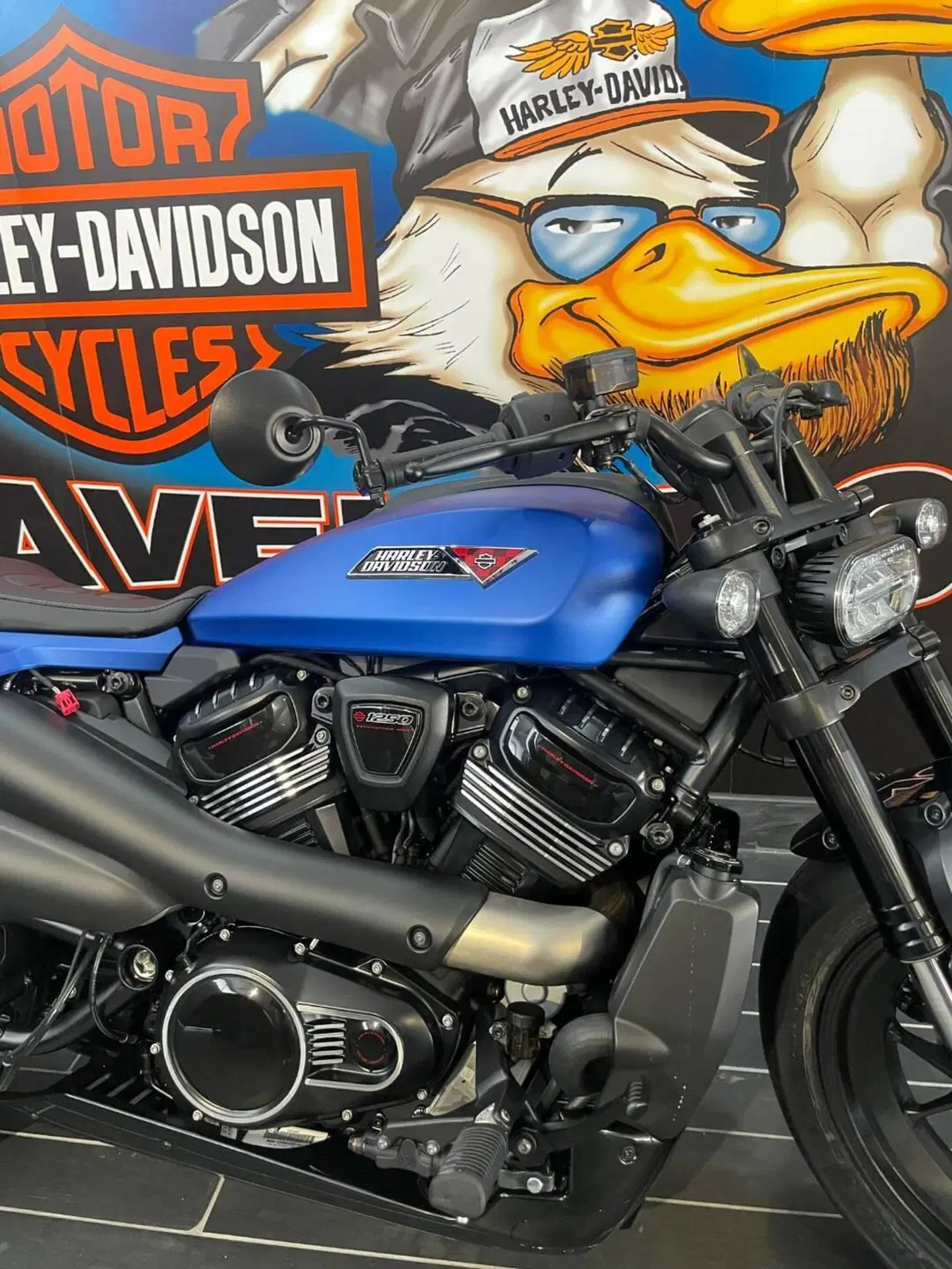 Harley-Davidson Sportster S (2025 - 26) (6)