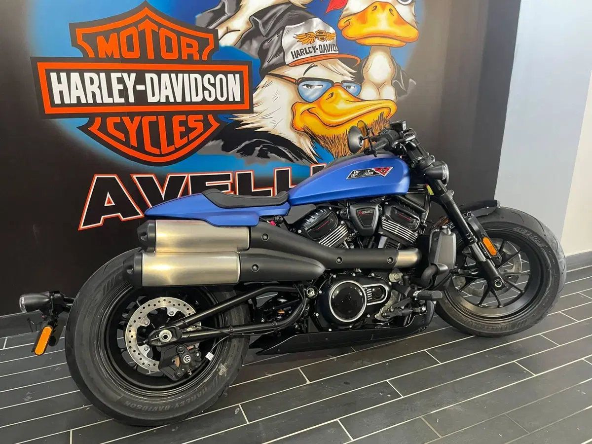 Harley-Davidson Sportster S (2025 - 26) (7)