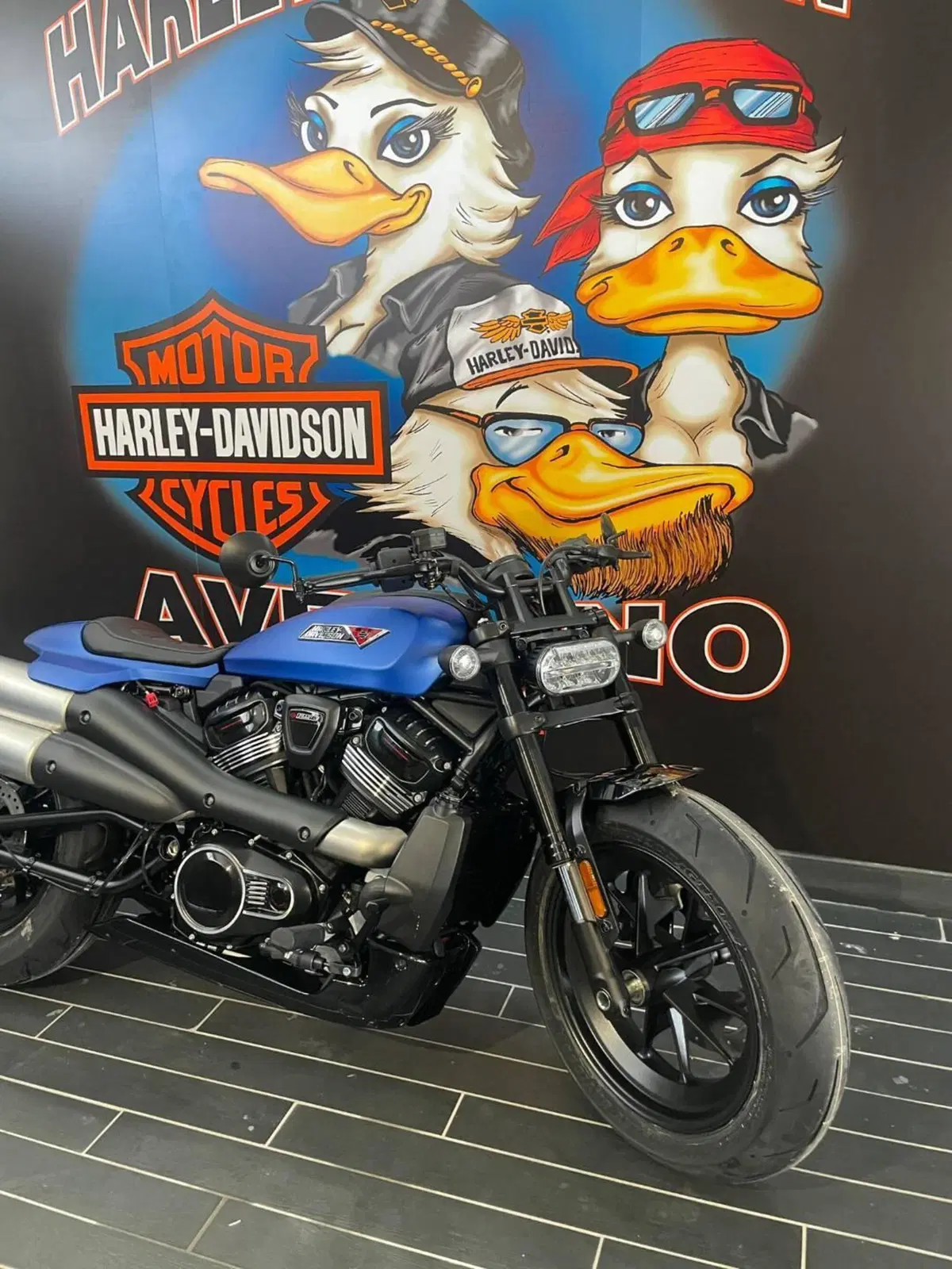 Harley-Davidson Sportster S (2025 - 26) (8)