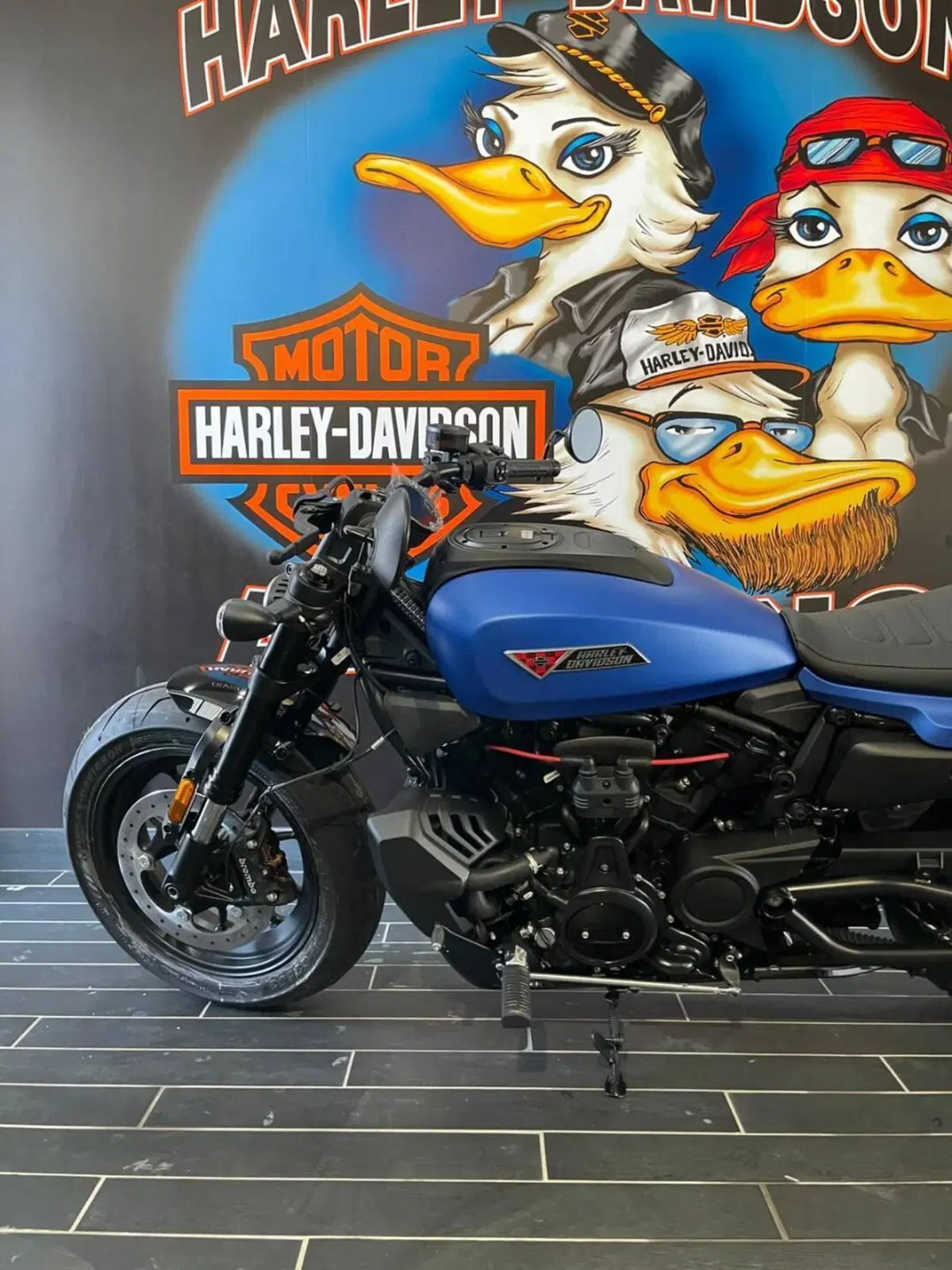 Harley-Davidson Sportster S (2025 - 26) (9)