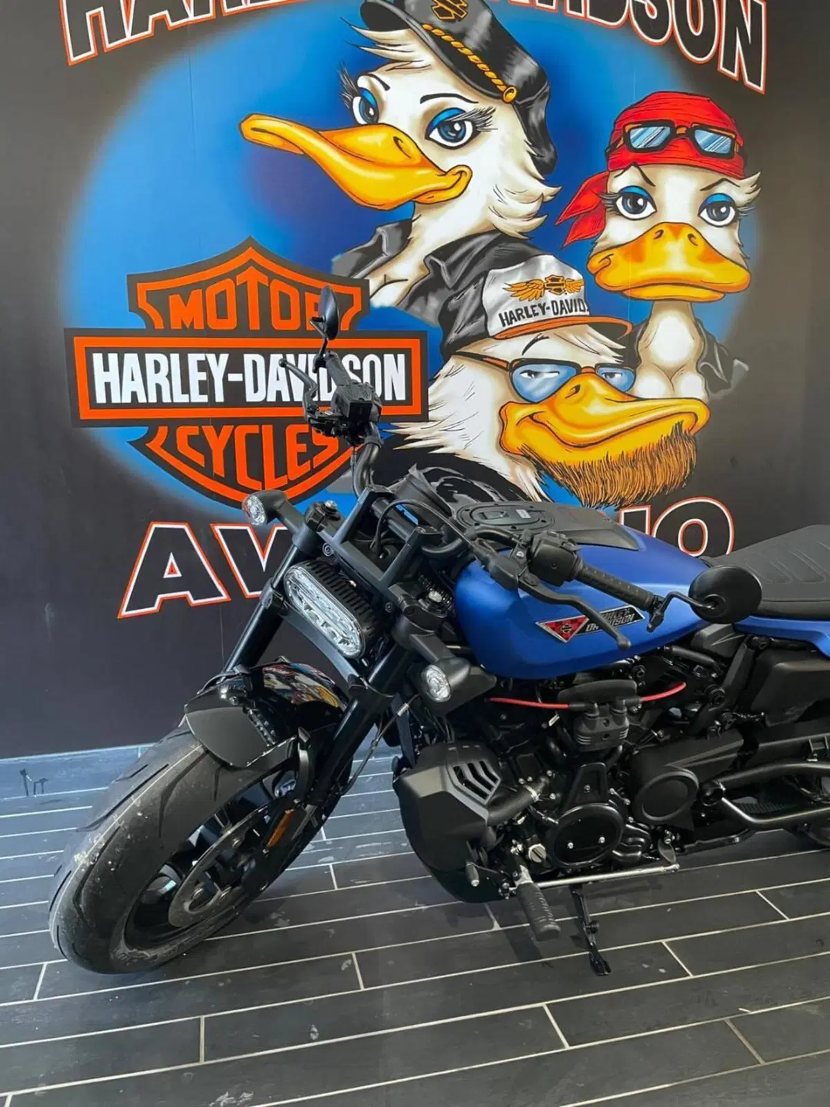 Harley-Davidson Sportster S (2025 - 26) (10)