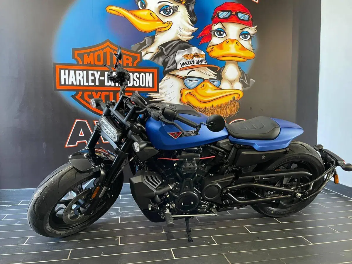 Harley-Davidson Sportster S (2025 - 26) (11)