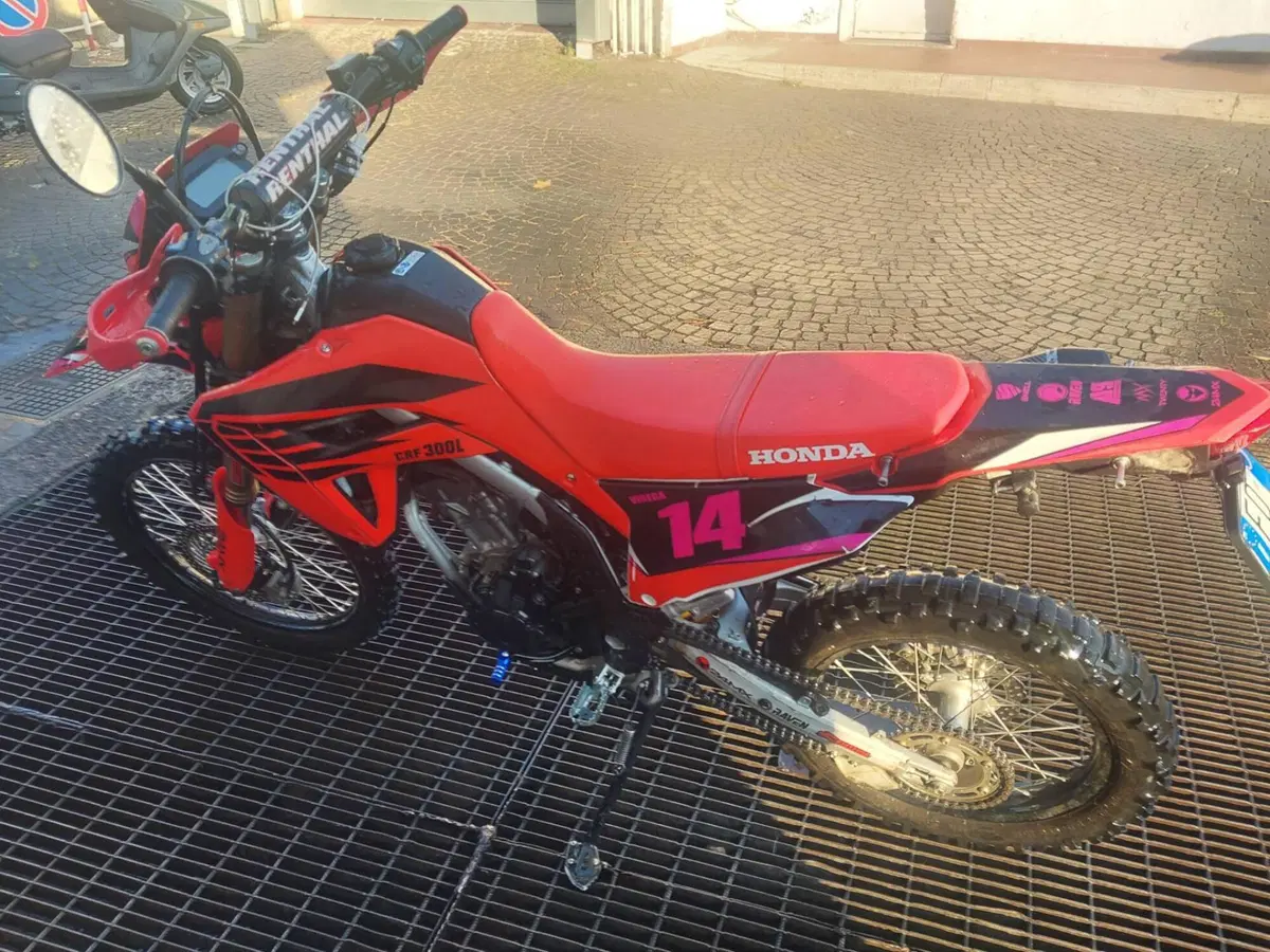 Honda CRF 300L (2021 - 24) (5)
