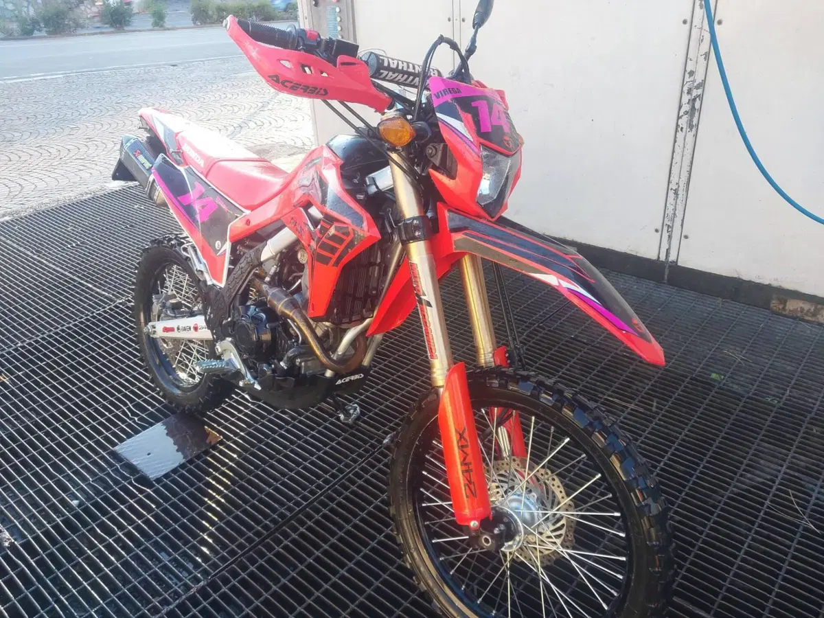 Honda CRF 300L (2021 - 24) (6)