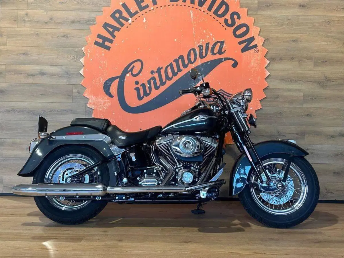Harley-Davidson 1584 Springer Classic (2006 - 07) - FLSTSC (2)
