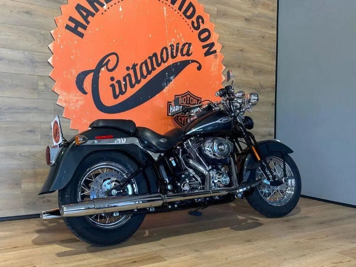 Harley-Davidson 1584 Springer Classic (2006 - 07) - FLSTSC (3)