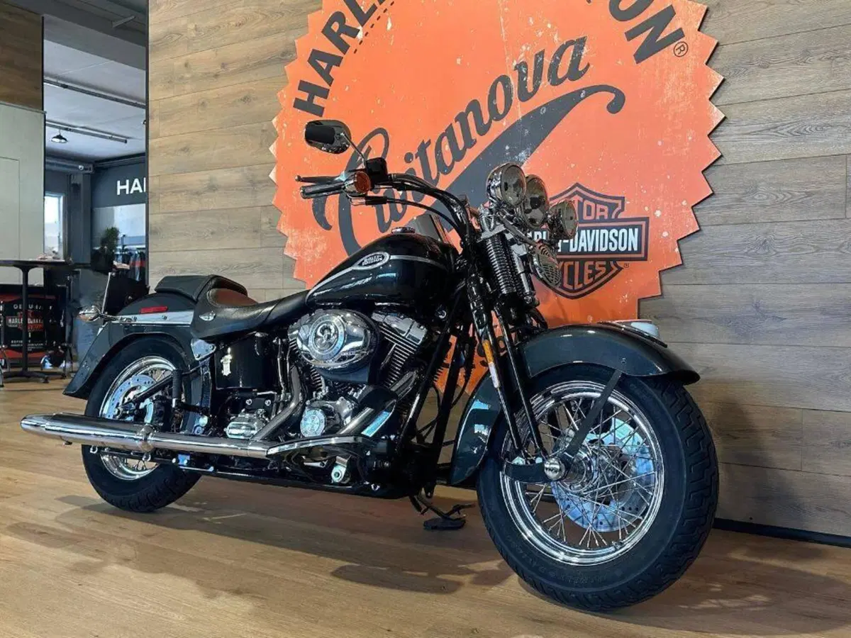 Harley-Davidson 1584 Springer Classic (2006 - 07) - FLSTSC (4)