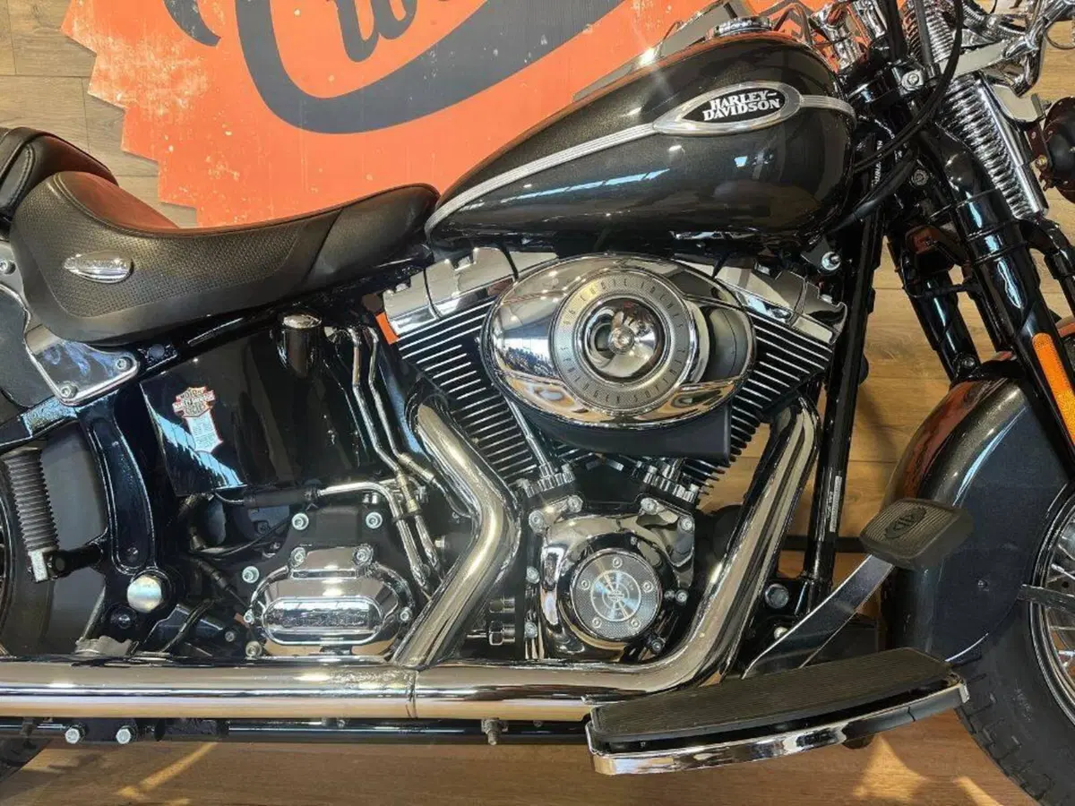 Harley-Davidson 1584 Springer Classic (2006 - 07) - FLSTSC (5)