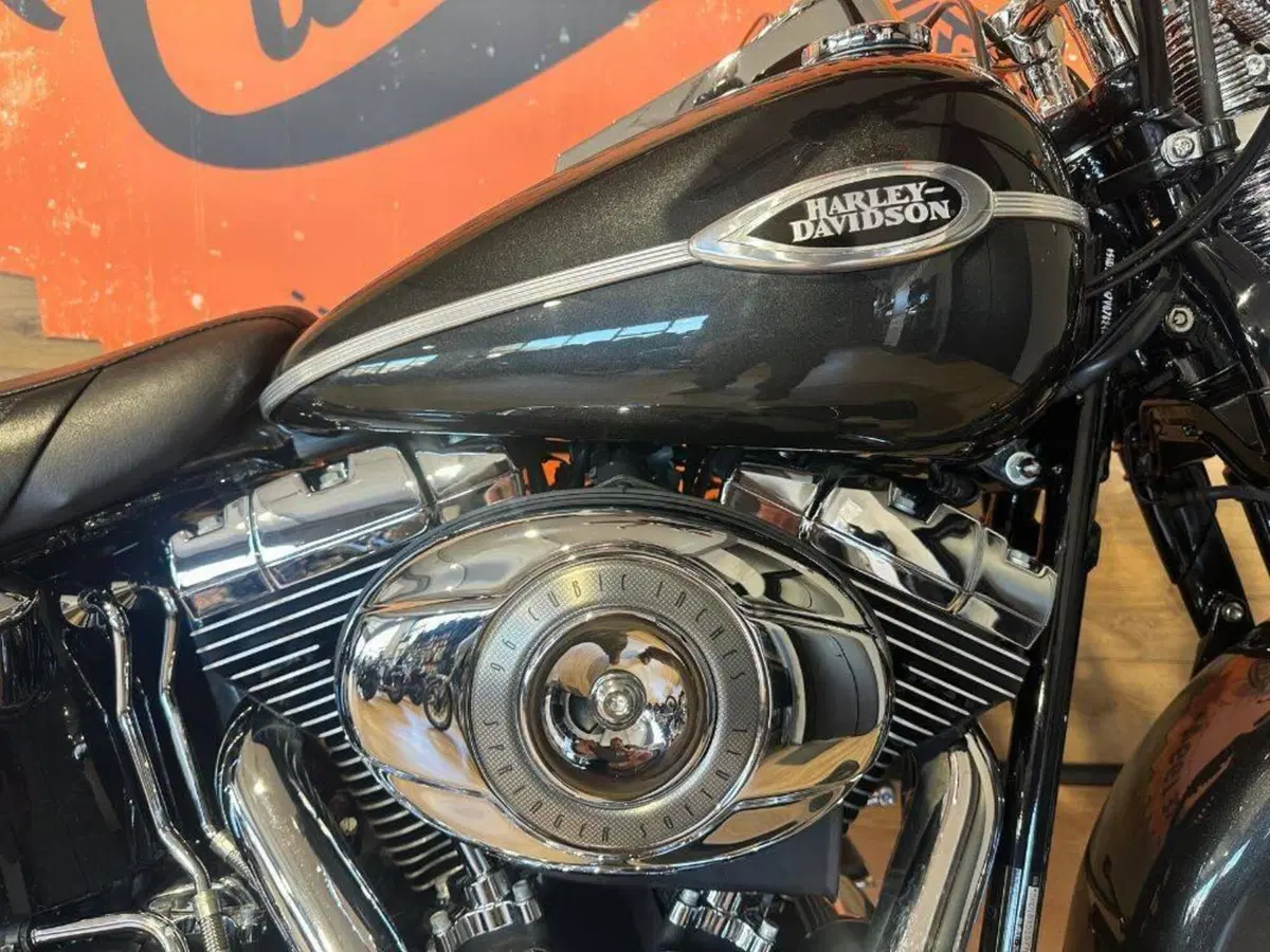 Harley-Davidson 1584 Springer Classic (2006 - 07) - FLSTSC (6)