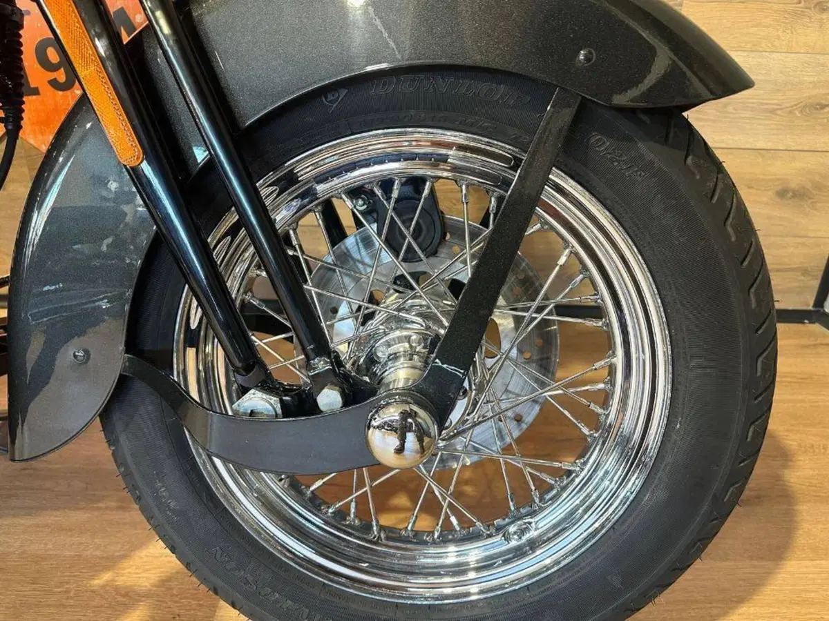Harley-Davidson 1584 Springer Classic (2006 - 07) - FLSTSC (8)