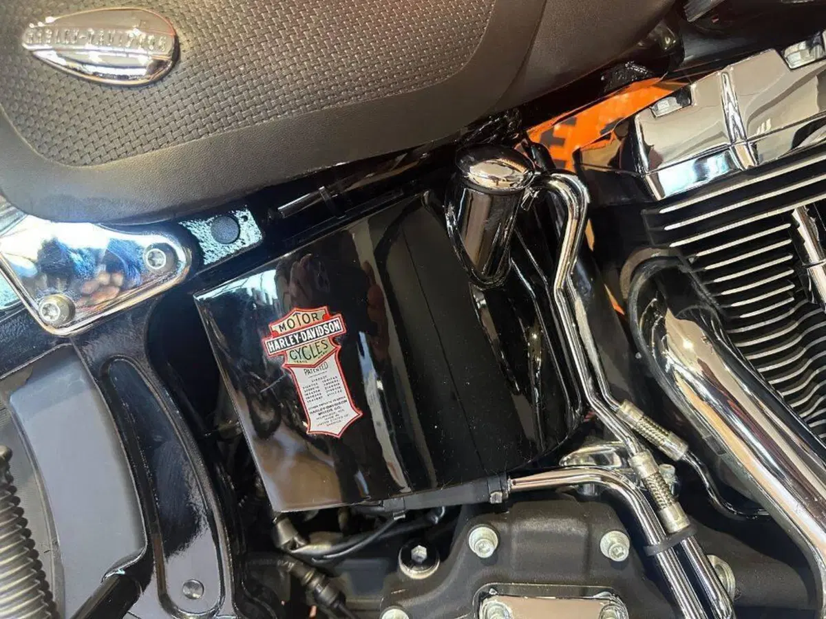 Harley-Davidson 1584 Springer Classic (2006 - 07) - FLSTSC (9)