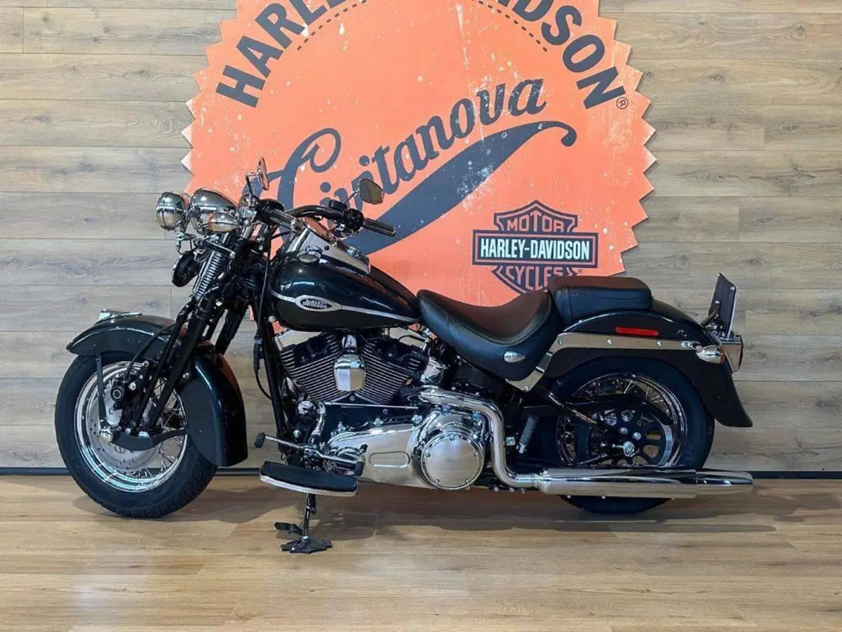 Harley-Davidson 1584 Springer Classic (2006 - 07) - FLSTSC (10)