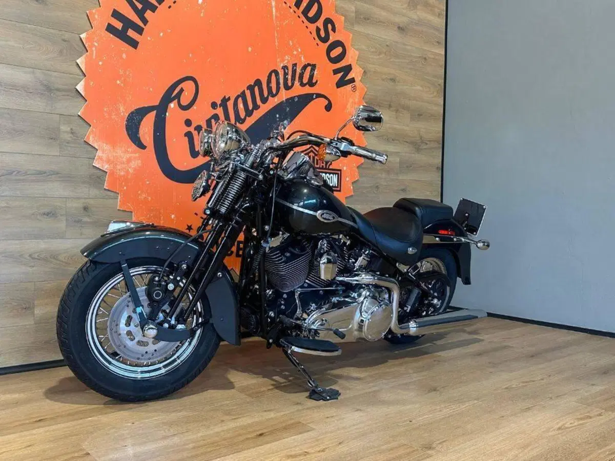 Harley-Davidson 1584 Springer Classic (2006 - 07) - FLSTSC (11)